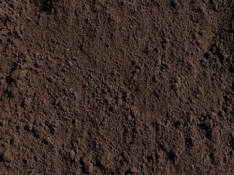 Tierra negra orgánica y suelta para jardinería y áreas verdes